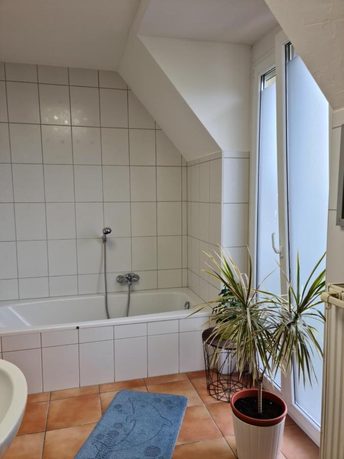 Lichtdurchflutetes Zimmer - Marienberg Waldbuttelbrunn Zewnętrze zdjęcie