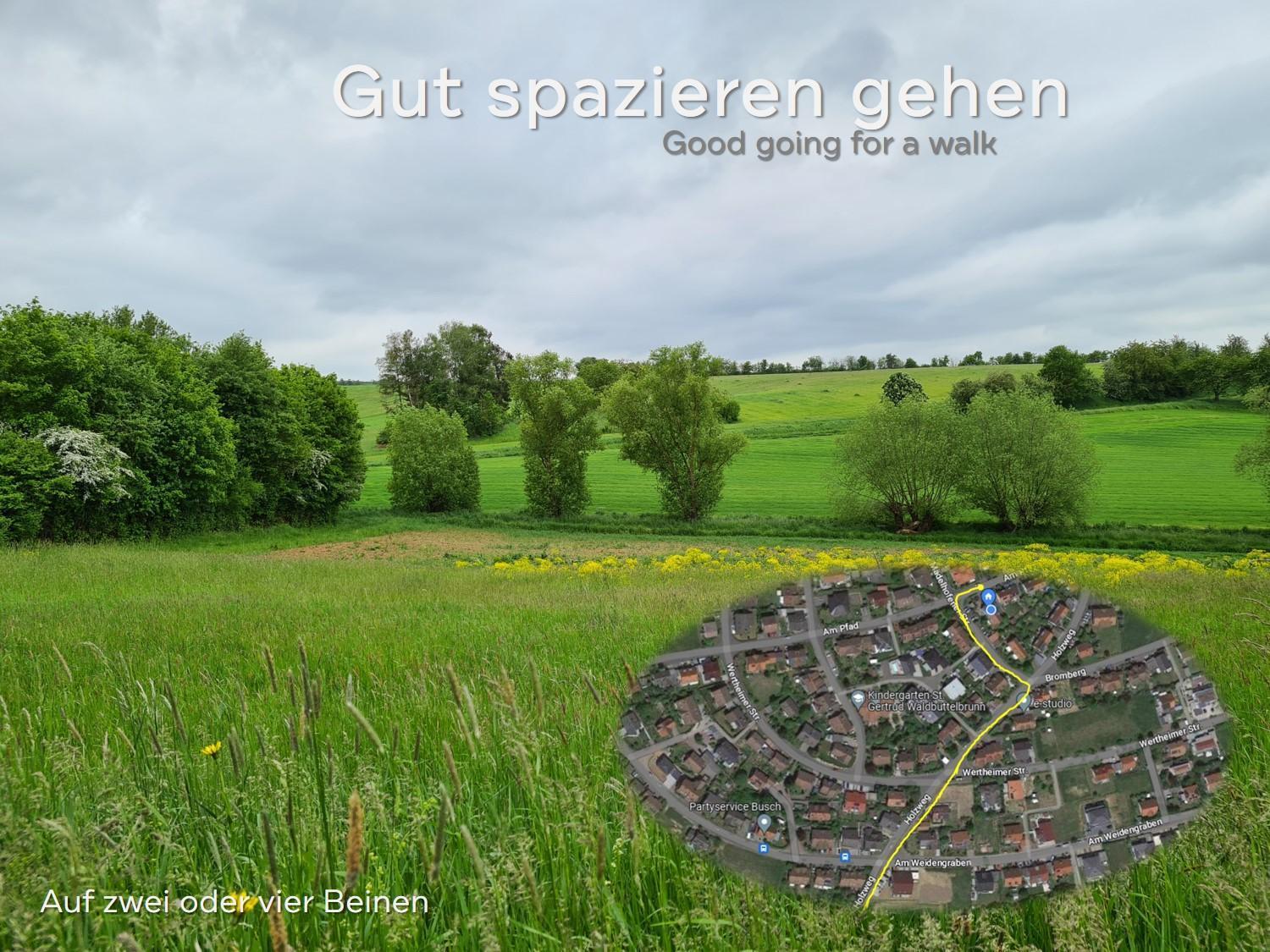 Lichtdurchflutetes Zimmer - Marienberg Waldbuttelbrunn Zewnętrze zdjęcie